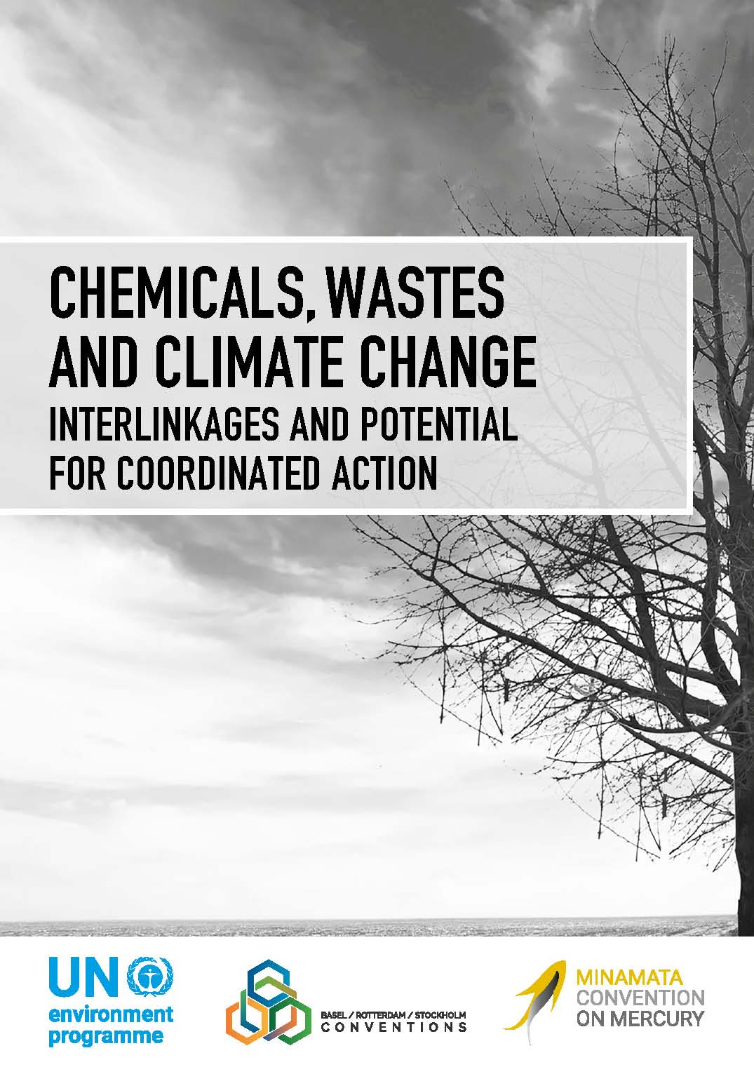 Chemicals, wastes and climate change - Interlinkages and potential for coordinated action