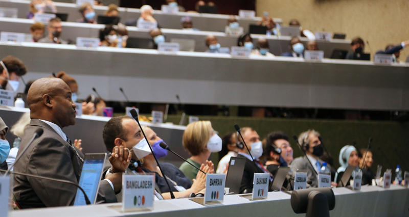 Advance report for COP-15 now available in English