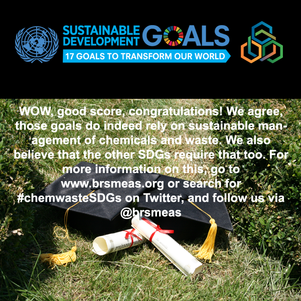 Failed the chemicals, wastes and SDGs quiz