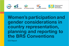 Women’s participation and gender considerations in country representation