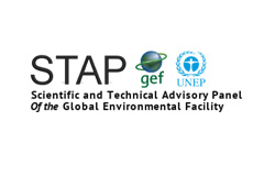 Outstanding independent scientists sought to fill vacancies within the GEF’s Scientific and Technical Advisory Panel
