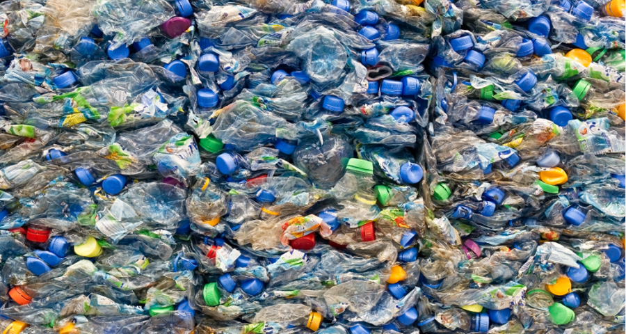 BRS highlights interactions between plastic waste and food through social media campaign