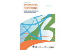Synergies Decisions document now online