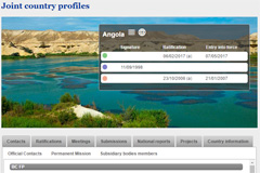 Nouveaux profils d'information conjoints en ligne pour 193 pays