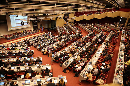 Reports of the Basel, Rotterdam, and Stockholm Convention COPs (online segments) are now available in all UN languages